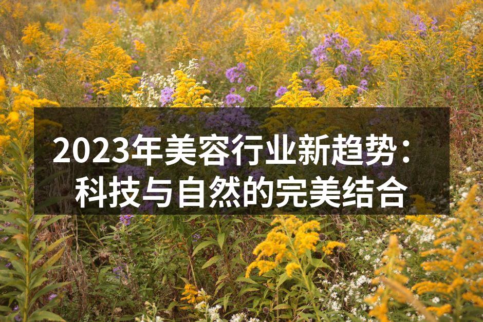 2023年美容行业新趋势：科技与自然的完